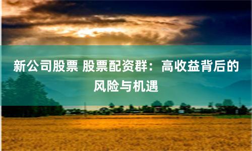新公司股票 股票配资群：高收益背后的风险与机遇